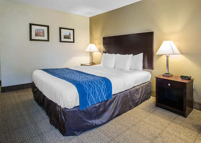 Comfort Inn & Suites Deland - Near University